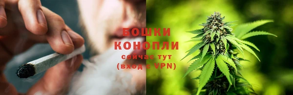 трава Алзамай