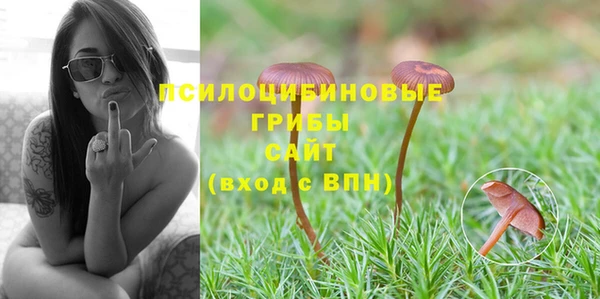 трава Алзамай