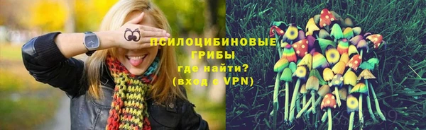 синтетический гашиш Алексин