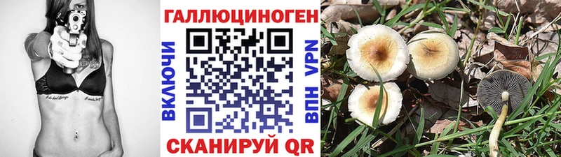Галлюциногенные грибы Magic Shrooms  Стародуб 